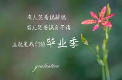 开云体育-2026，命运的回响，格列兹曼的绝杀，让意大利在沙特面前重演历史