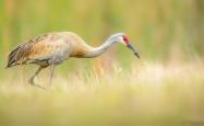 开云体育官网-扩展思维的文章标题