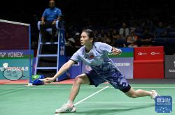 开云体育中国-韩国羽毛球队完胜马来西亚羽毛球队，陶菲克关键制胜