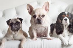 开云体育app-地下室到世界之巅，那个属于哈利伯顿与打工人的美加墨世界杯之夜