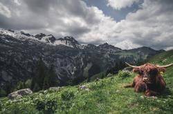 开云sport-（扩展思维后提供三个备选）