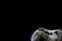 开云体育登录-同样37分却命运分野，利拉德死神时刻徒留空响，马刺团队交响踏平奥兰多