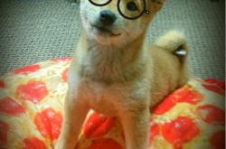 开云体育app-英超决战与意土烽烟，当十字路口遭遇生死战