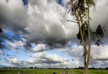 开云体育app-小球转动大球，印尼队绝杀德国队之夜，戴资颖如何扛起全队的信念