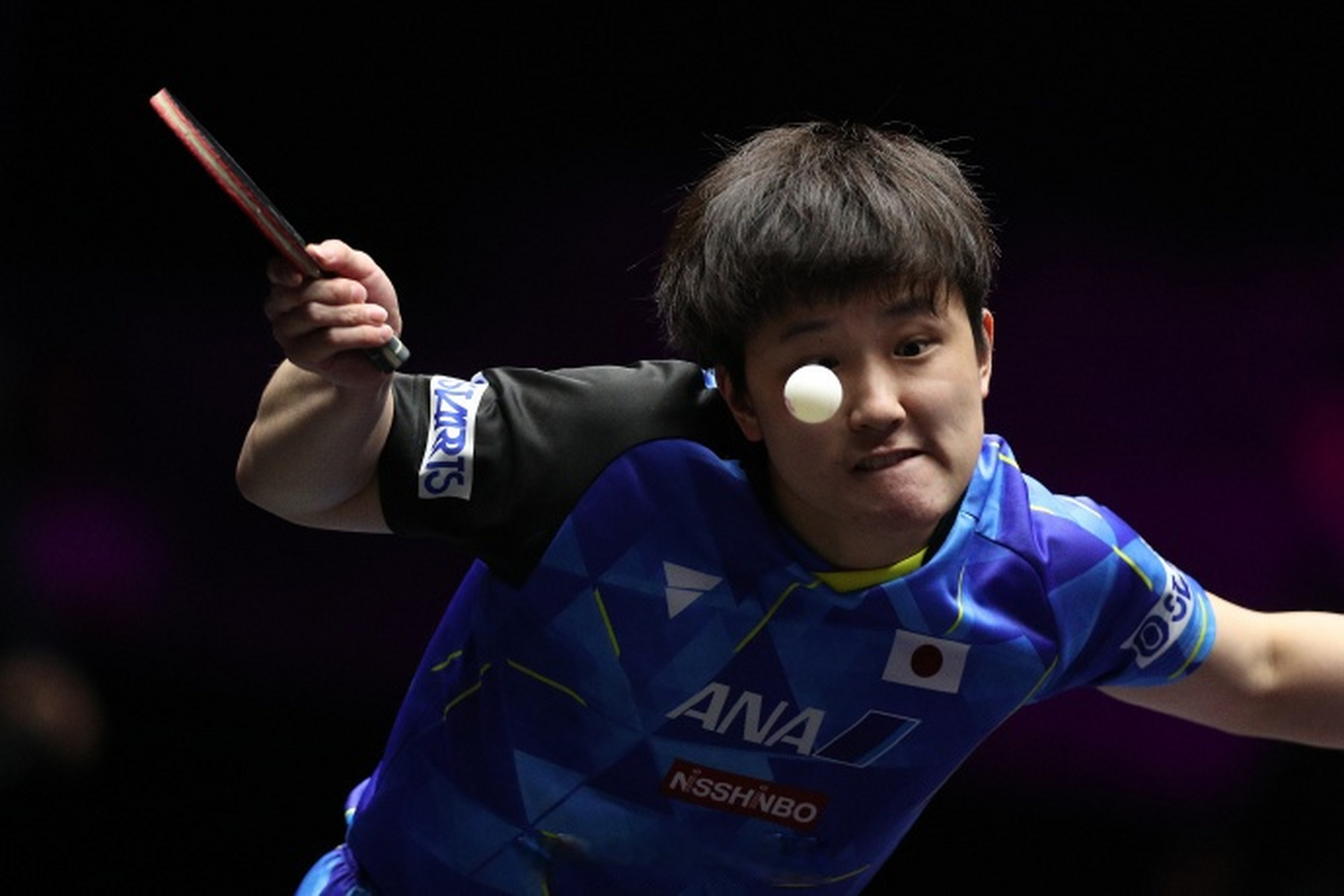 包含日本乒乓球队完胜法国乒乓球队，张本智和关键制胜的词条