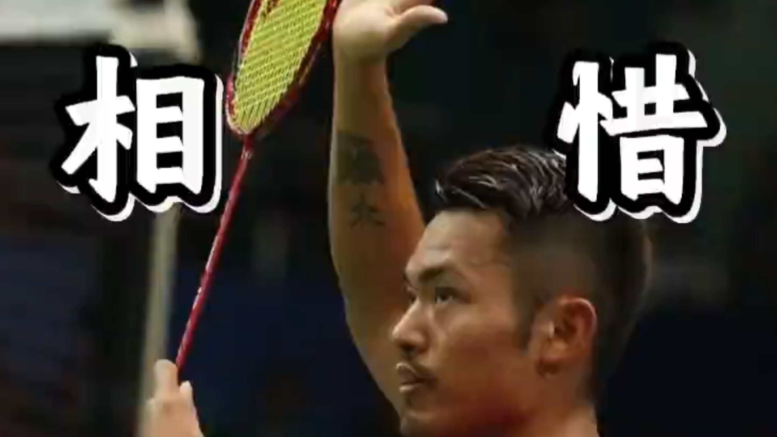 关于法国羽毛球队血洗马来西亚羽毛球队，林丹绝境逆转的信息