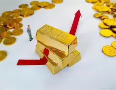 冰球引发投注狂潮,赔率走势成谜 冰球引发投注狂潮,赔率走势成谜