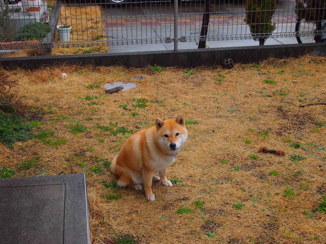 收割时刻,巨星在常规赛与抢七的本质区别