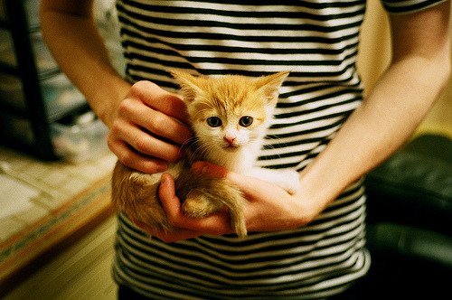 撕裂东方节奏，拉文关键时刻站出来，森林狼掌控浙江队脉搏