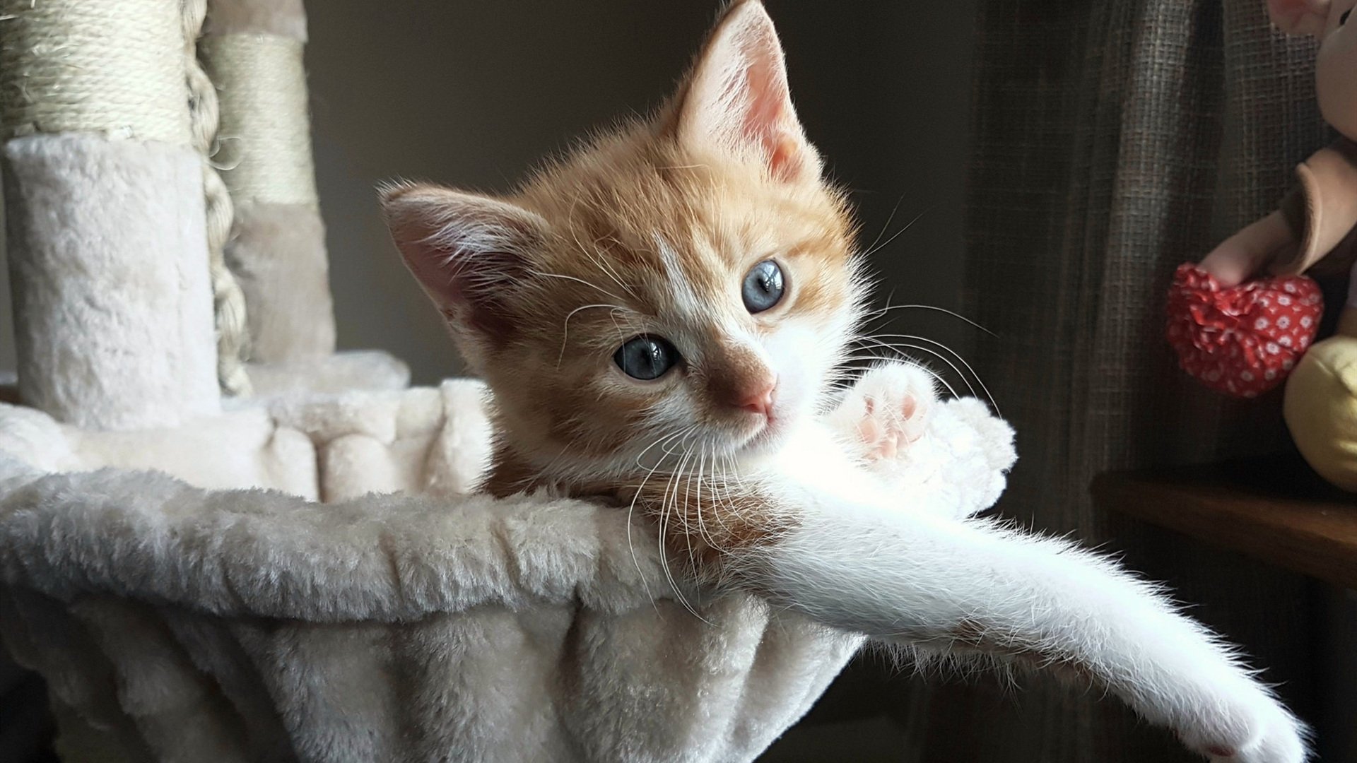 冰岛之寒与伊布之火,淘汰赛的团队凯歌与球星的个人统治