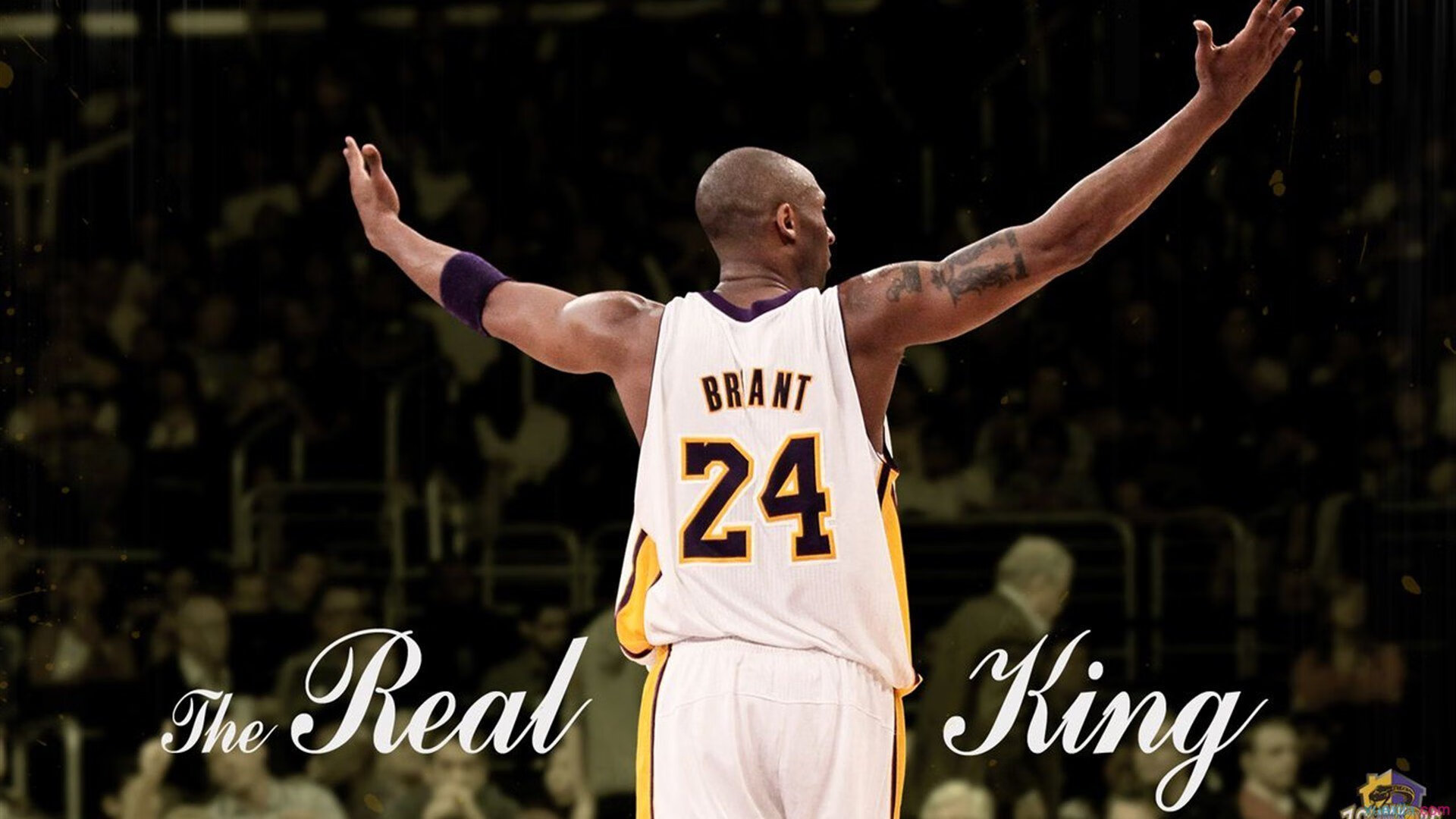 冰与火的淬炼,绝境中,恩佐那颗不软的心脏如何改写历史