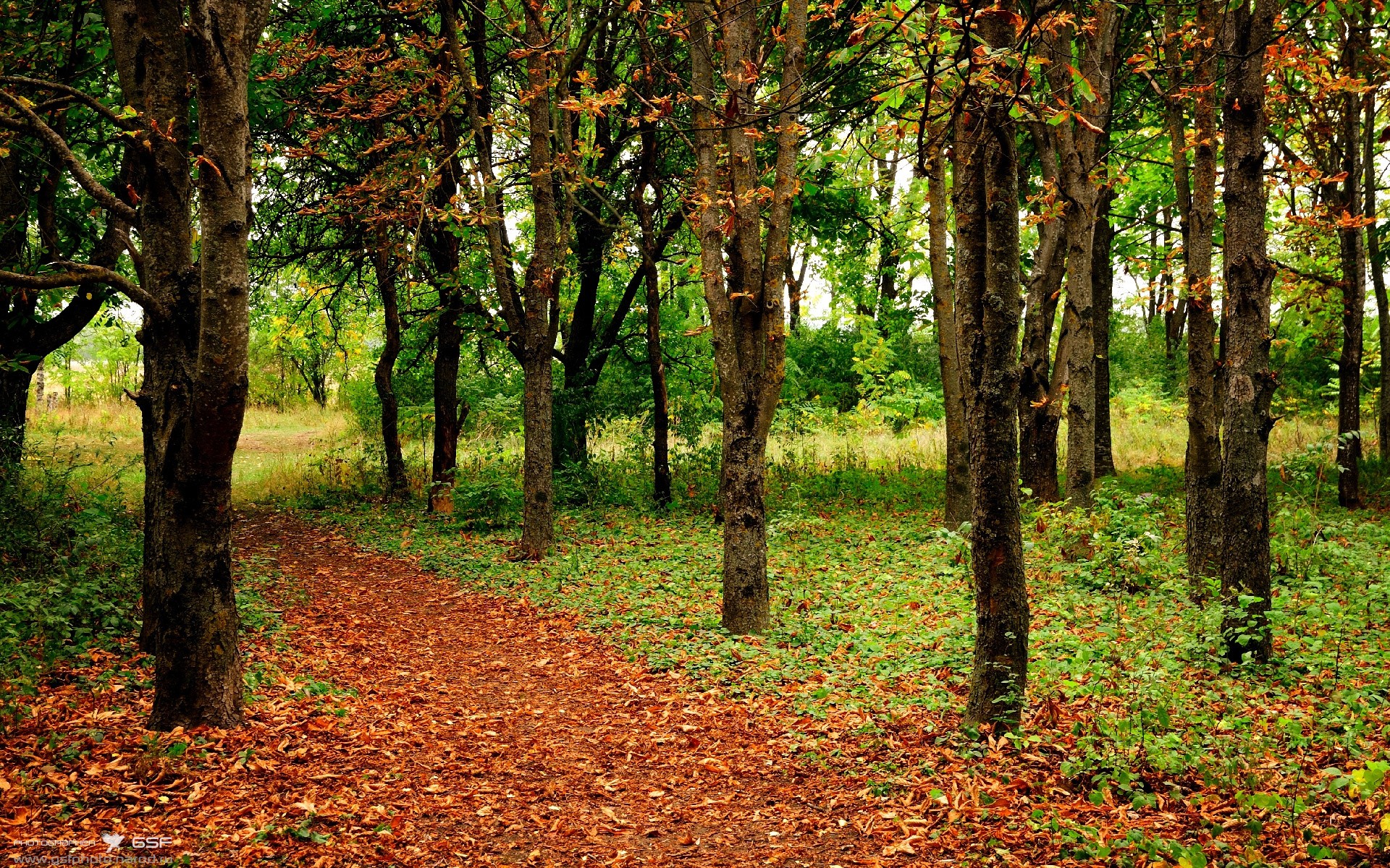 库尔图瓦的分割，舞台越大越强，为何独在奥地利与皇马间失灵？