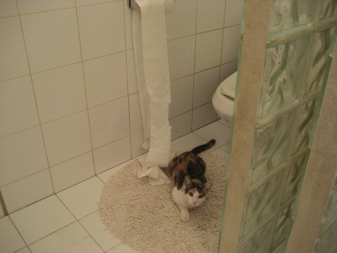 跨界传奇，弗拉霍维奇在NBA总决赛之夜的完美篮球首秀