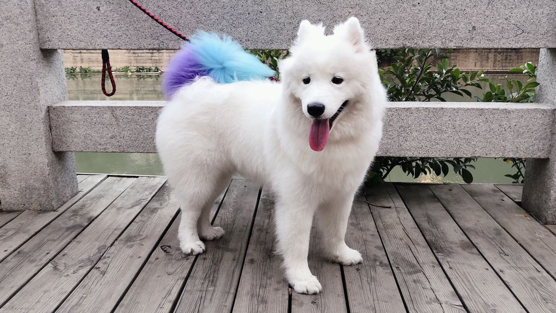 奥利维耶导演德比胜利！凌空斩+助攻，塞维利亚轻取贝蒂斯