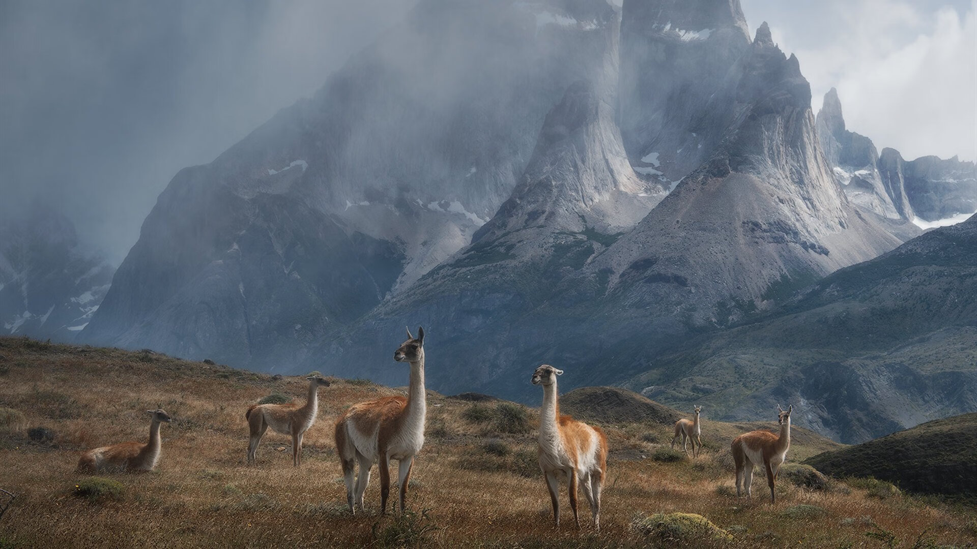 哈登按下单打键，猛龙掀翻步行者的那十六分钟