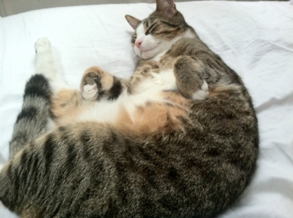 诺坎普的无声惊雷，当梅罗的光环下，升起阿圭罗的月