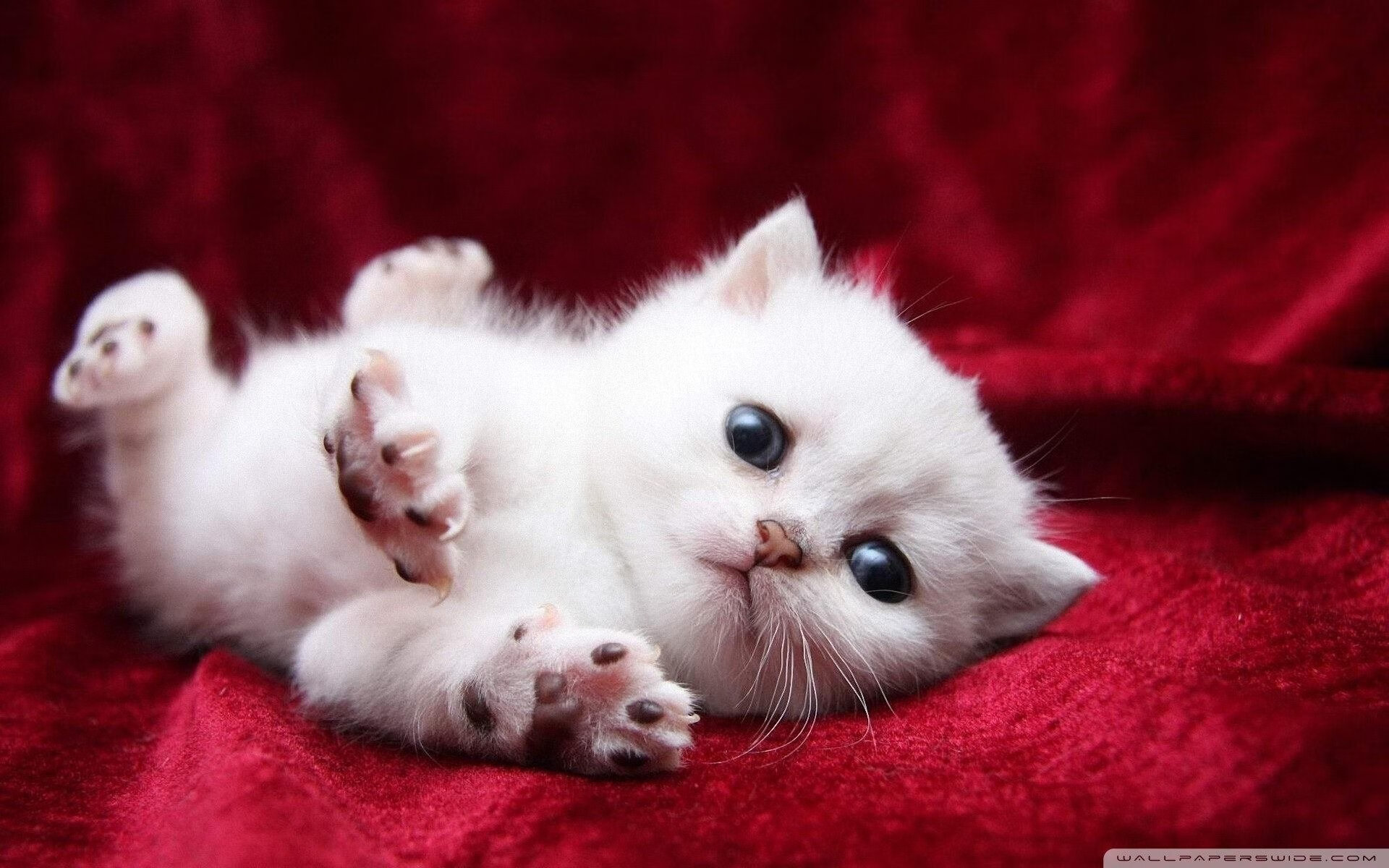 当拉文式高能输出遇见西甲国家德比,一个独一无二的足球之夜