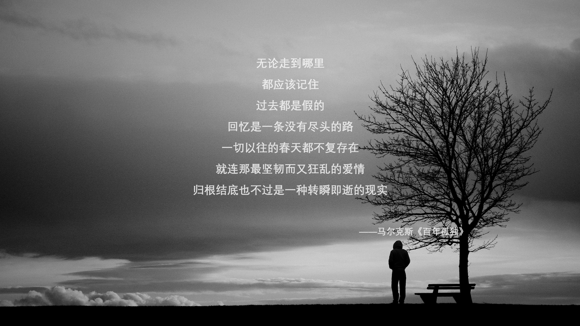 冷门史诗与巨星舞台，体育世界的双面交响