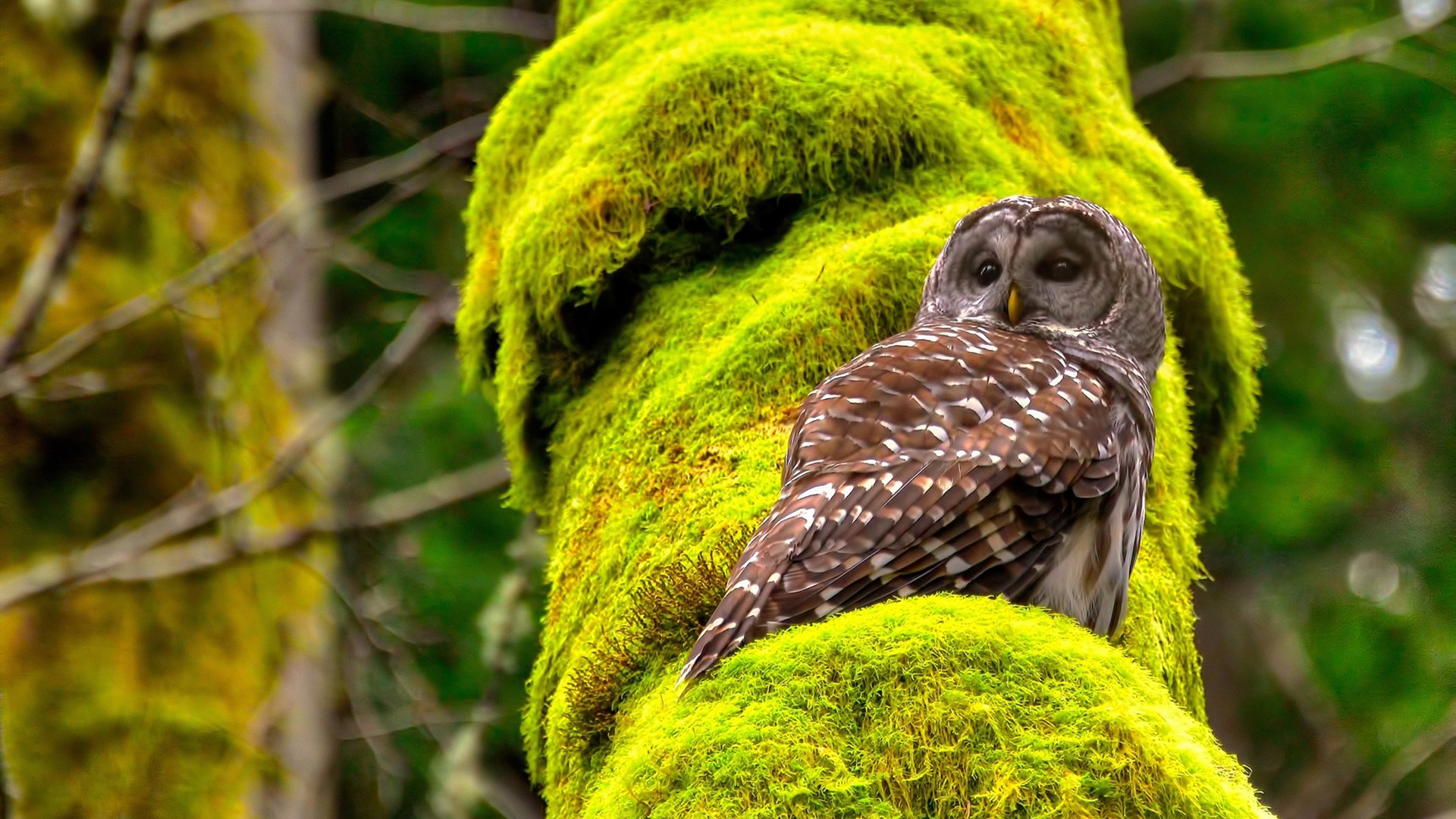 破局者，若日尼奥如何从罪人蜕变为关键先生