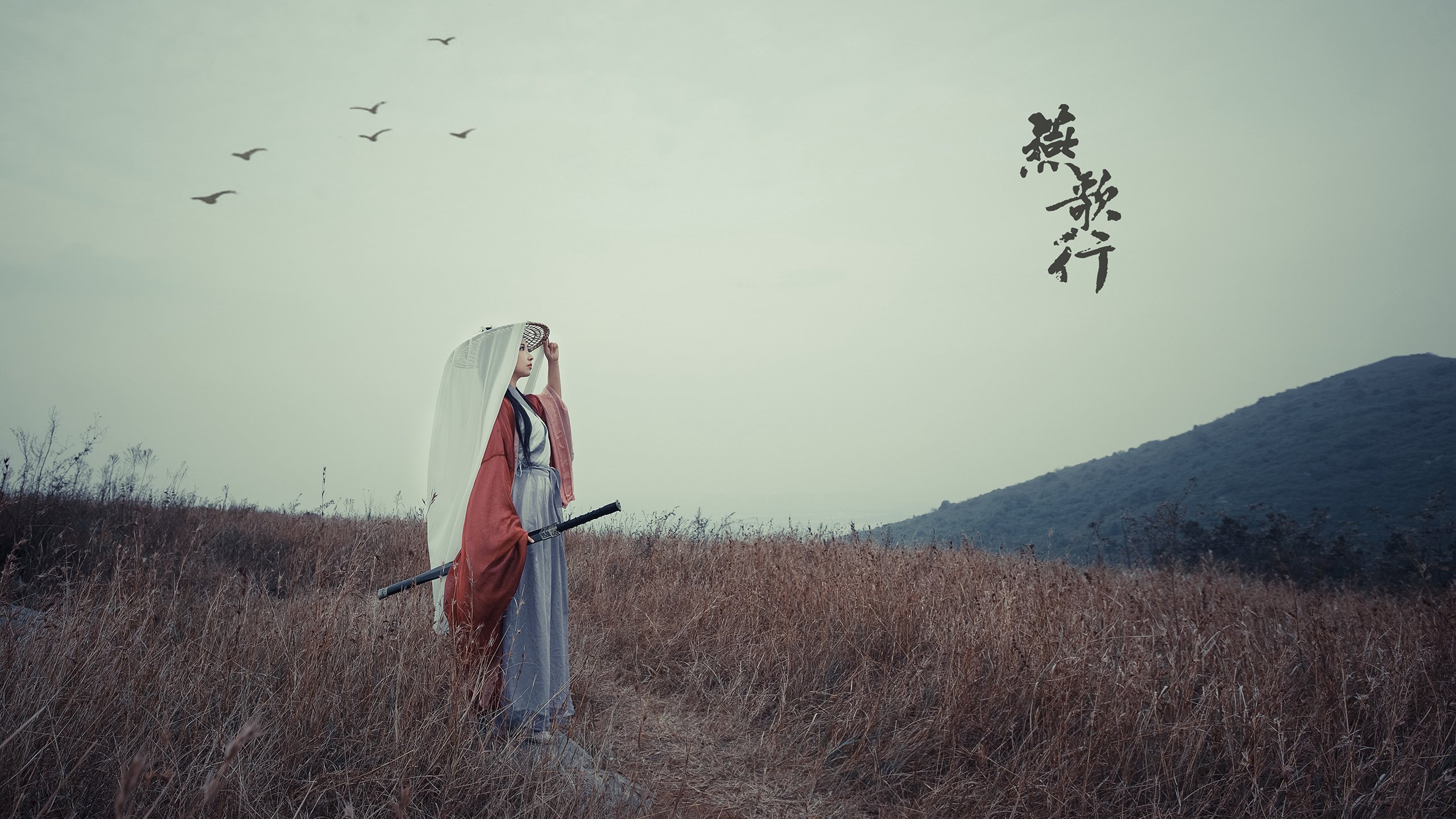 孤星与冷月,2026世界杯F组,比利时完胜冰岛,贝林厄姆一人改写比赛规则