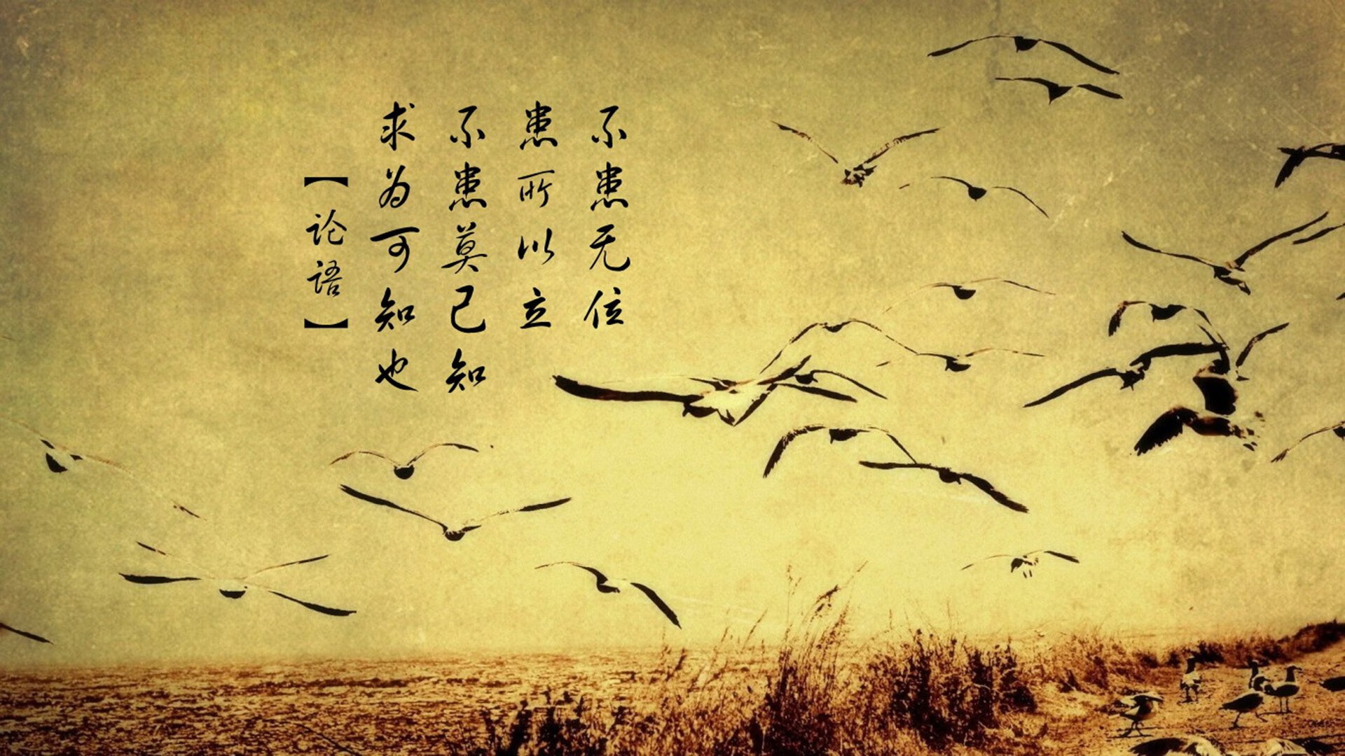 十人血战,魔笛刺穿黑星—2026世预赛终极夜,加纳的黄金梦碎于一个38岁老将的绝杀